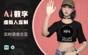 Ai数字人虚拟(智能体)实时语音交互特训营，​自行定制超写实角色AI数字人交互技术-乌龙学社