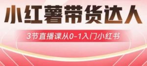 小红薯达人带货启航计划，3节直播课从0-1入门小红书-乌龙学社