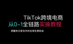 TikTok跨境电商从0-1全链路全方位实操教程，把握多元变化中的全球生意机会-乌龙学社