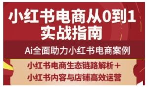 2025小红书电商全链路运营，Ai全面助力小红书电商案例-乌龙学社