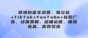 跨境创富实战营，独立站+TikTok+YouTube+谷歌广告，经营策略，店铺运营，精准选品，高效引流-乌龙学社