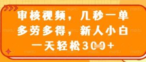 视频审核员，几秒一单，不限时间，不限地点，多做多得，新人小白一天轻松几张+【揭秘】-乌龙学社