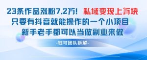 抖音私域项目23条作品涨粉7.2W，私域变现1W-乌龙学社