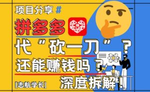【2025最新】拼多多代坎助力项目深度拆解：还能挣钱吗?全流程玩法-乌龙学社