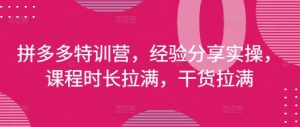 拼多多特训营，经验分享实操，课程时长拉满，干货拉满(更新25年4月)-乌龙学社