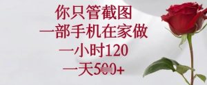你只管截图，一部手机在家可以做，一小时120.一天5张+【揭秘】-乌龙学社