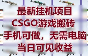 最新挂G项目，CSGO游戏搬砖，手机可做，无需电脑，当日见收益【揭秘】-乌龙学社