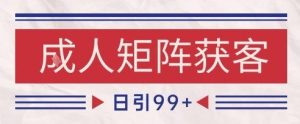 小红书某音橙人赛道引流获客，自热矩阵日引200+【揭秘】-乌龙学社