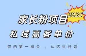 家长粉项目，一个可以长期变现暴利项目，私域高客单价，轻松完成你的人生第一桶金-乌龙学社