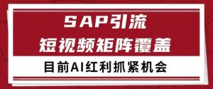 小红书某音sap赛道引流获客 自热矩阵日引200+【揭秘】-乌龙学社