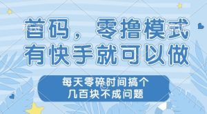 首码零撸项目，有快手就可以做，每天业务时间搞个几张不是问题【揭秘】-乌龙学社
