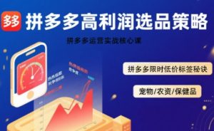 拼多多选品暴利技术实战课，拼多多高利润选品策略，拼多多限时低价标签秘诀-乌龙学社