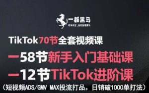 TikTok全套视频课，新手入门+进阶课，短视频ADS-GMV MAX投流打品，日销破1000单打法-乌龙学社