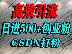 怎么打创业粉？CSDN又一个你不知道的打粉引流神秘平台，单人日引500+精准流量-乌龙学社