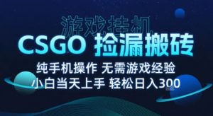8月最新游戏搬砖，CSGO纯挂G，不需要玩游戏，实现真挂G，月入1W+【揭秘】-乌龙学社