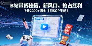 B站带货秘籍，新风口，抢占红利，7天2k+佣金【附SOP手册】-乌龙学社