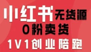 小红书无货源0粉电商课，开店准备、选品策略、笔记撰写、视频剪辑、数据分析、账号打造、资料文档-乌龙学社