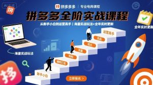 拼多多全阶实战课程，从新手小白到运营高手，海量实战玩法+全年实时更新【2025年9月更新】-乌龙学社