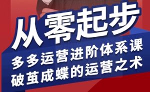 拼多多运营进阶系统课，从零起步，多多运营进阶体系课，破茧成蝶的运营之术（更新9月）-乌龙学社
