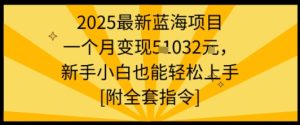 2025最新蓝海项目一个月变现1w+新手小白也能轻松上手【附全套指令】-乌龙学社
