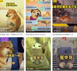 狗头幸运星UE5动画全套课程，从入门到实操全掌握-乌龙学社