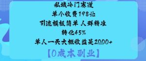 私域冷门赛道:单个收费198米引流模板简单人群精准转化45%单人一天大概收益是1k+-乌龙学社