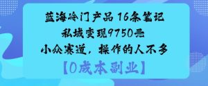 蓝海冷门产品：16条笔记私域变现9750米小众赛道，操作的人不多-乌龙学社
