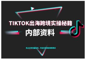 TikTok跨境电商0-1搭建运营，TK出海跨境实操秘籍（10月更新）-乌龙学社