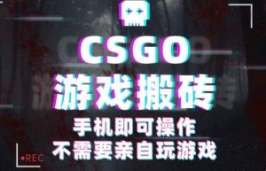 CSGO游戏挂G捡漏，单日扫货5张+，年底小高峰上车可吃肉，手机即可操作，兼职副业创业网创【揭秘】-乌龙学社