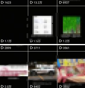 抖音引流创业粉教程,创业粉终于跑通了,私域是永远的王-乌龙学社