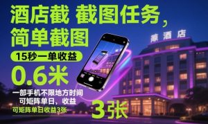 酒店截图任务,简单截图,15秒一单收益0.6米,一部手机不限地方时间,可矩阵单日收益3张【揭秘】-乌龙学社