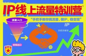 IP线上流量特训营,手把手教你搞流量、做IP、稳变现-乌龙学社