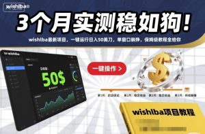 3个月实测稳如狗！wishlba最新项目，一键运行日入50美刀，单窗口躺挣，保姆级教程全给你【揭秘】-乌龙学社