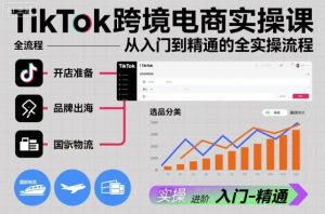 TikTok跨境电商实操课,从入门到精通的全实操流程-乌龙学社