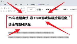 25年底翻身仗，靠CSGO游戏挂G捡漏掘金，搞钱回家过肥年【揭秘】-乌龙学社