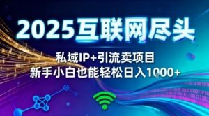 2025网创尽头王炸项目！私域IP+精准引流，新手小白在家躺賺日入1k，零经验也能上手【揭秘】-乌龙学社