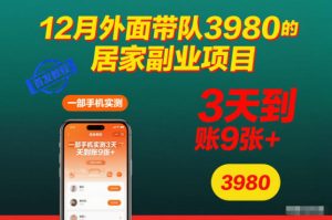 12月外面带队3980的居家副业项目，一部手机实测3天到账9张+，首发教程【揭秘】-乌龙学社