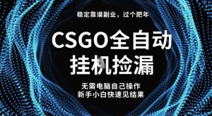 【稳定副业】全球最热门游戏CSGO全自动捡漏，最新玩法，新手小白日入5张+【揭秘】-乌龙学社
