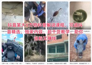 抖音某大V万物科普解说课程，可进抖音精选，独家内容，超干货教学，助你涨粉又賺钱-乌龙学社