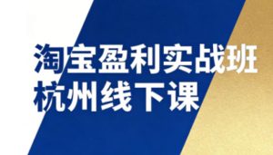 淘宝盈利实战班杭州线下课12月26-28日（音频+字幕），帮你掌握SOP流程+12门核心技术-乌龙学社