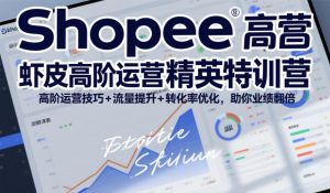 Shopee虾皮高阶运营精英特训营，高阶运营技巧+流量提升+转化率优化，助你业绩翻倍-乌龙学社