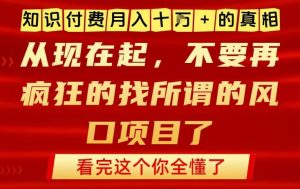 知识付费月入10个W的真相，做网创项目这一个就够了，不要再疯狂的找所谓的风口项目【揭秘】-乌龙学社