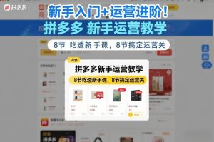 新手入门+运营进阶！拼多多新手运营教学，8节吃透新手课，8节搞定运营关-乌龙学社