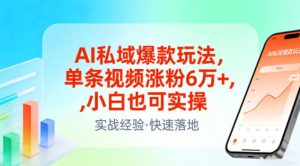 AI私域爆款玩法，单条视频涨粉6W+，小白也可实操-乌龙学社