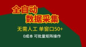 全自动数据采集项目，无需人工，单窗口可达50+收益，操作简单无难度，一个人也能轻松实现矩阵【揭秘】-乌龙学社