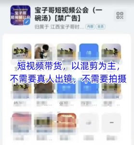 宝子哥头部团队短视频带货，以混剪为主，不需要真人出镜，不需要拍摄【更新26年3月】-乌龙学社