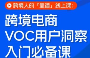 跨境电商VOC用户洞察入门必备课,跨境人的靠谱线上课-乌龙学社