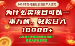 一单净利润1K+，26年想年入100个W，死磕卖项目就够了【揭秘】-乌龙学社