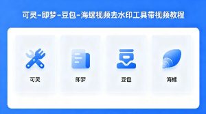 可灵–即梦–豆包–海螺视频去水印工具带视频教程-乌龙学社