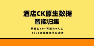 酒店CK原生数据智能归集，单窗口60+可矩阵0人工，2026必做蓝海小众项目【揭秘】-乌龙学社